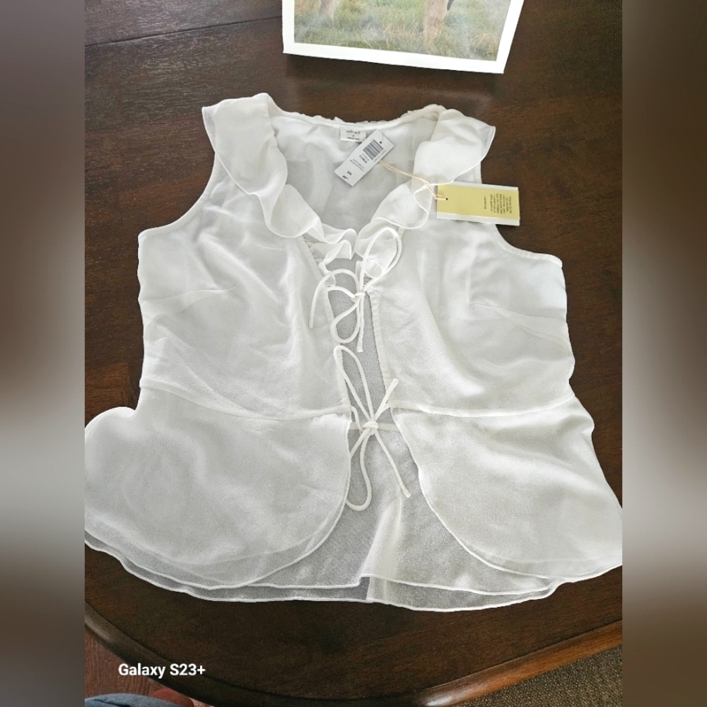 Aritzia Wilfred Flitter Blouse